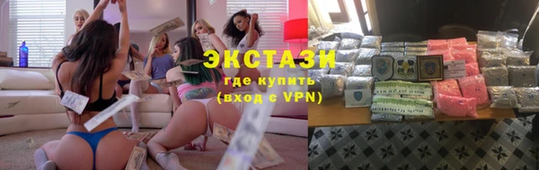 гашик Вяземский
