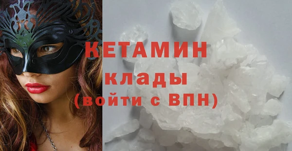 гашик Вяземский