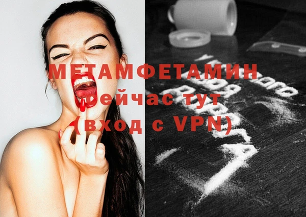 гидра Вязьма