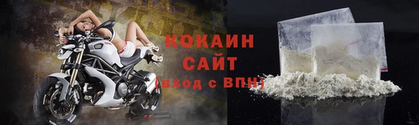 гидра Вязьма