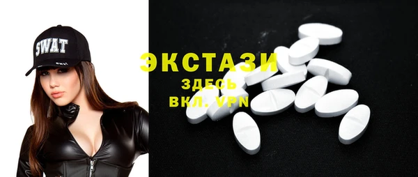 гашик Вяземский