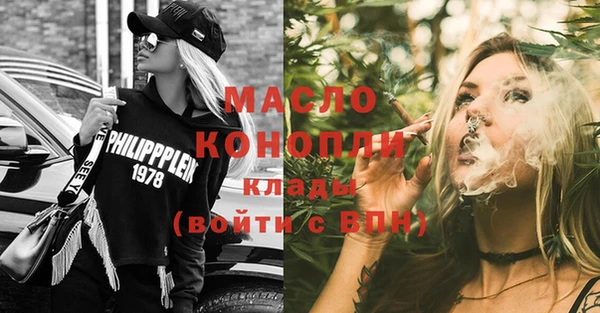 гашик Вяземский