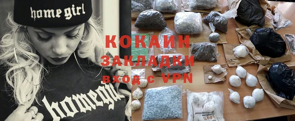 гидра Вязьма