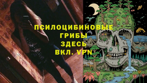 гидра Вязьма