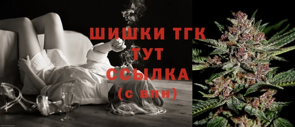 дживик Магас