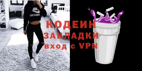 гашик Вяземский