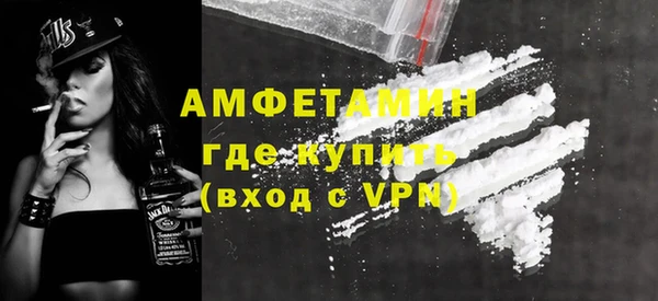 гашик Вяземский